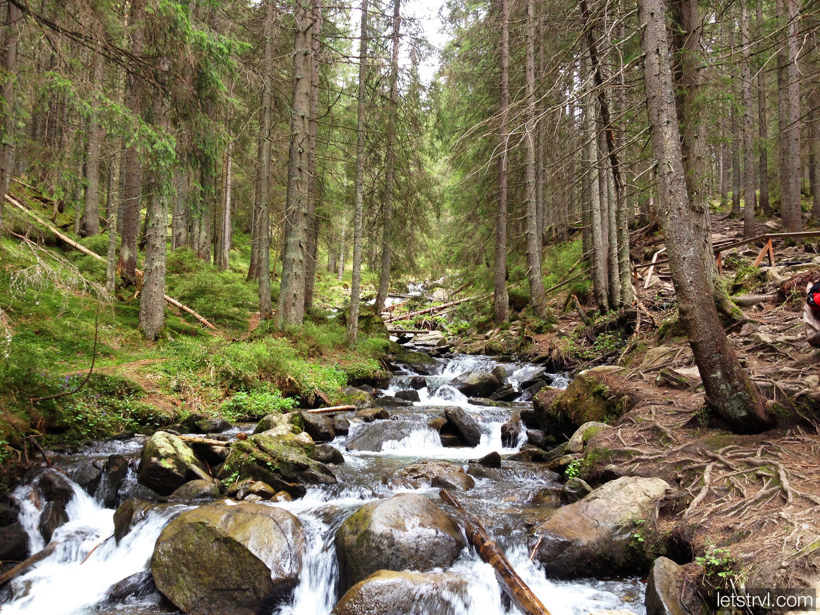 Горная река по пути на Говерлу