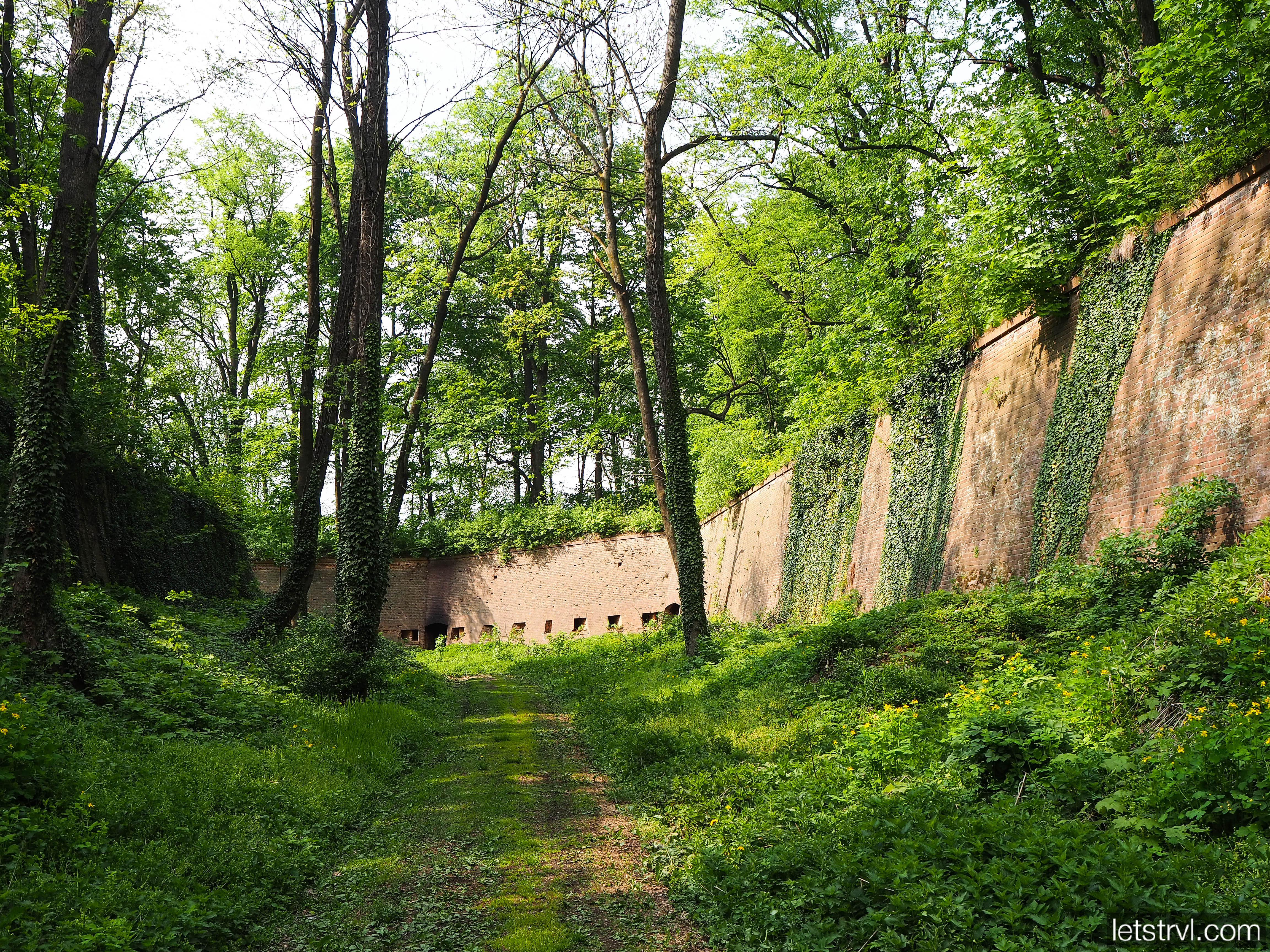 Крепость Ныса