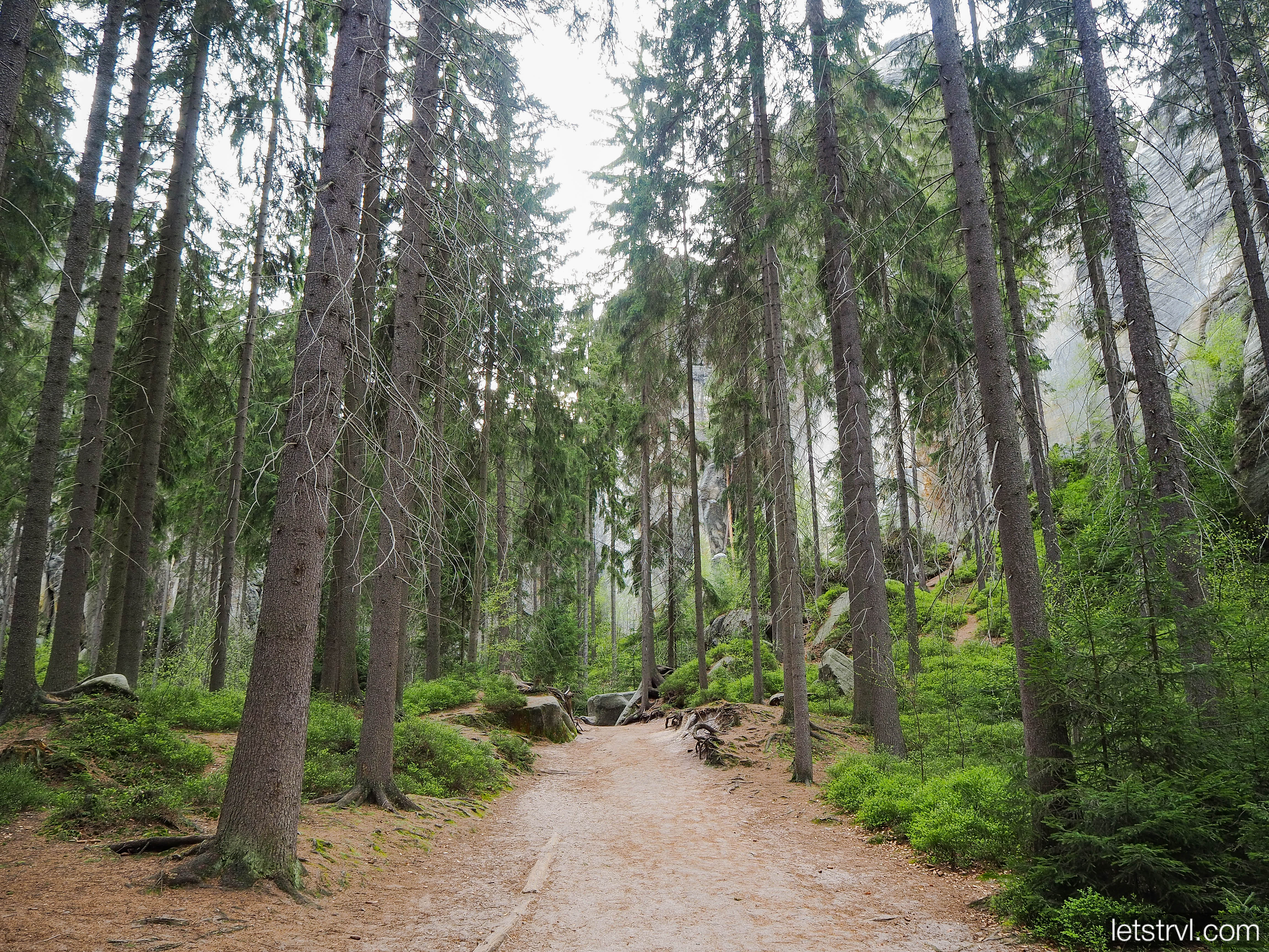 Лес в заповеднике Адршпах