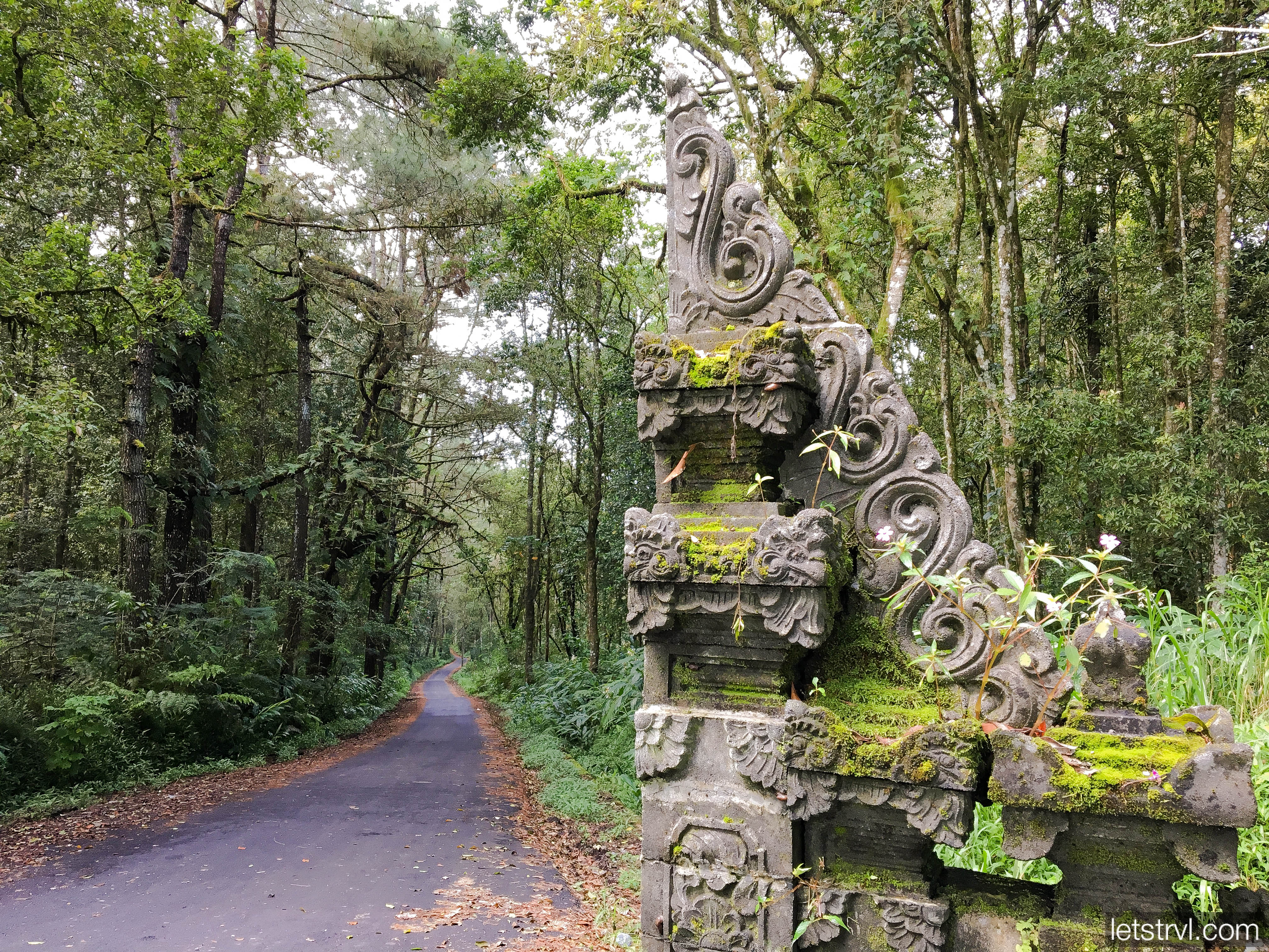 Лесная дорога на Бали
