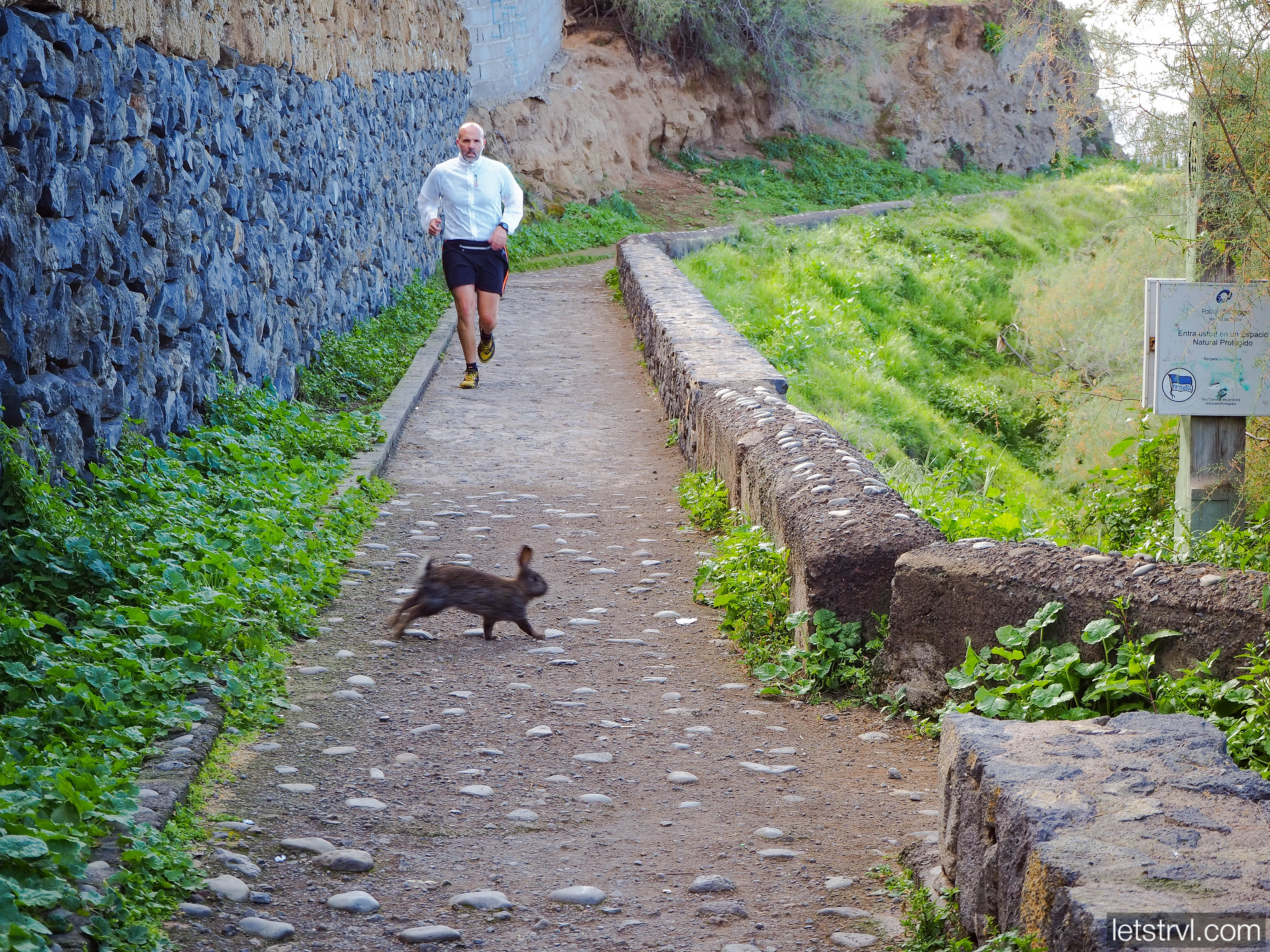 Начало тропы Рамбла де Кастро