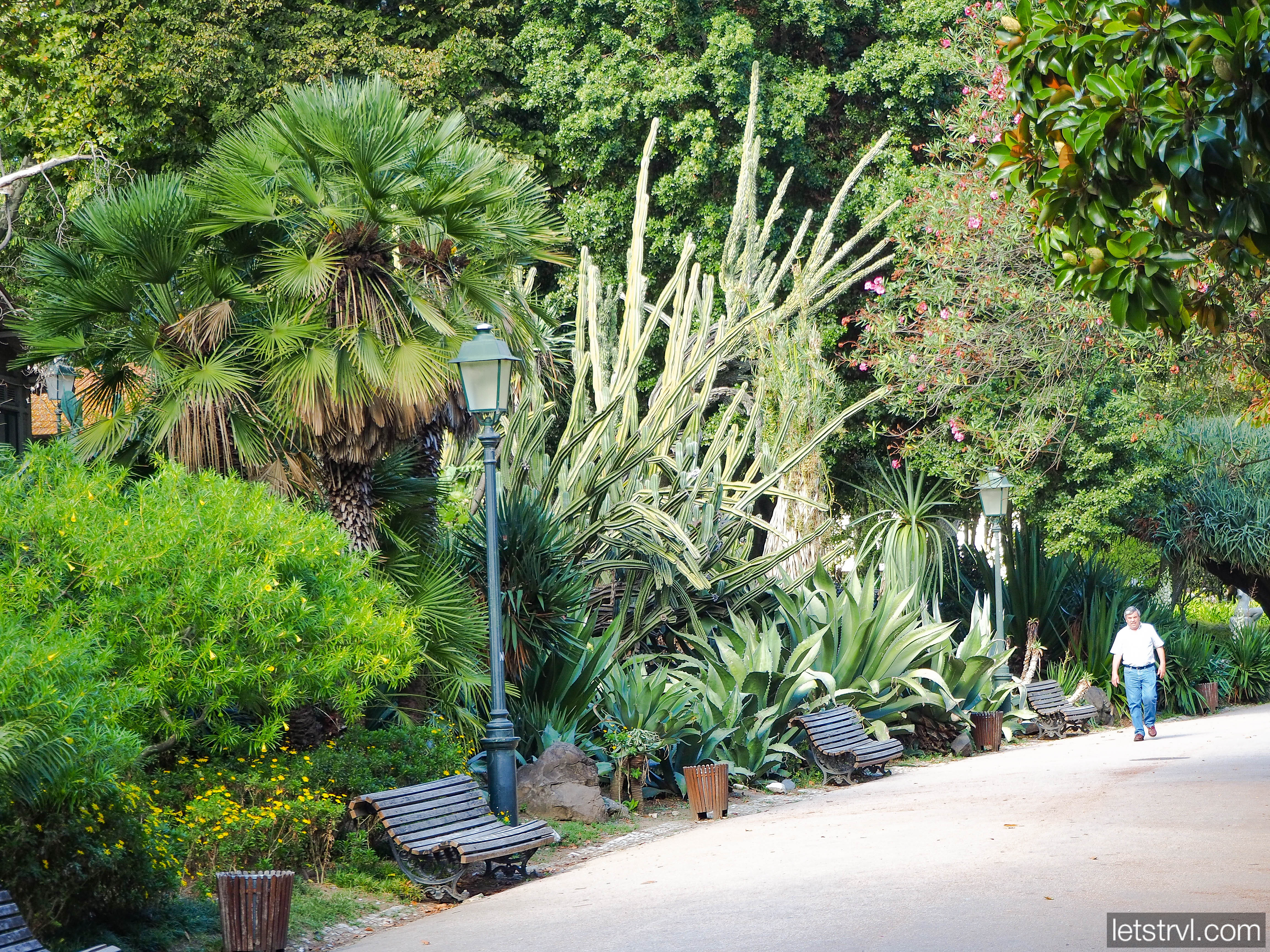 Парк Эштрела в Лиссабоне