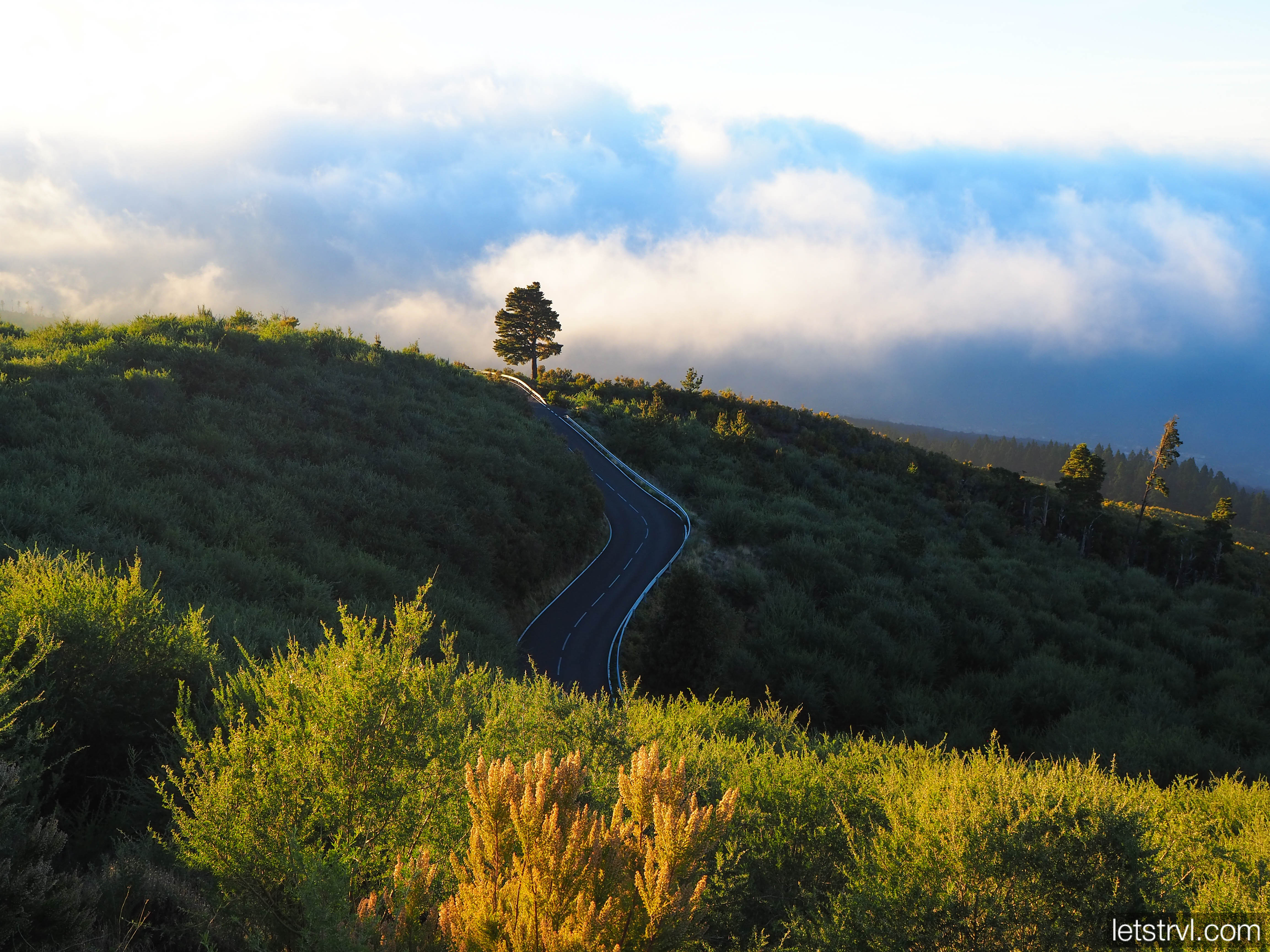 Смотровая в Национальном парке Тейде